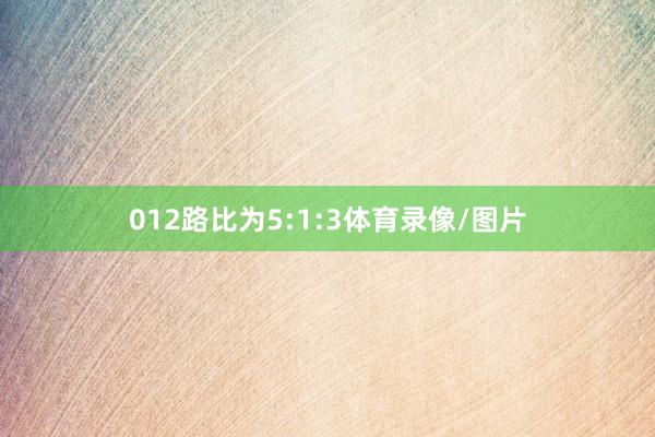 012路比为5:1:3体育录像/图片
