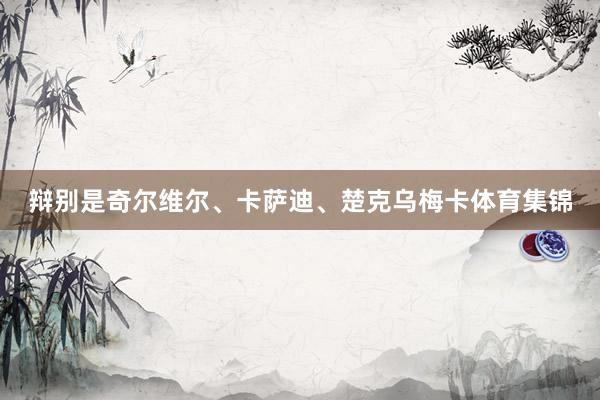 辩别是奇尔维尔、卡萨迪、楚克乌梅卡体育集锦