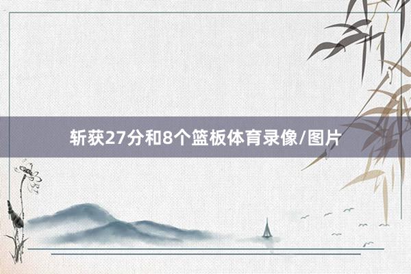 斩获27分和8个篮板体育录像/图片