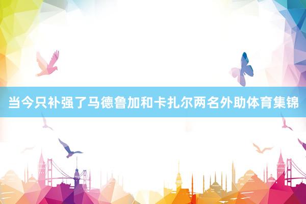 当今只补强了马德鲁加和卡扎尔两名外助体育集锦