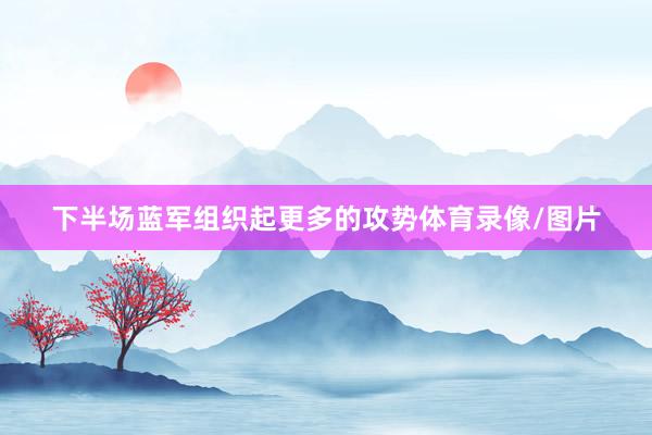 下半场蓝军组织起更多的攻势体育录像/图片