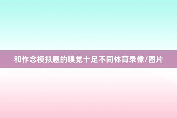 和作念模拟题的嗅觉十足不同体育录像/图片