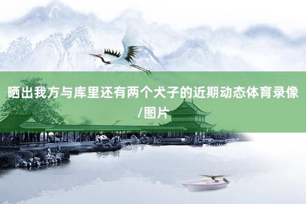晒出我方与库里还有两个犬子的近期动态体育录像/图片