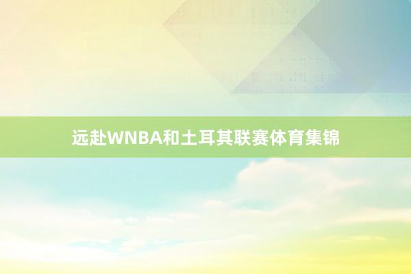 远赴WNBA和土耳其联赛体育集锦