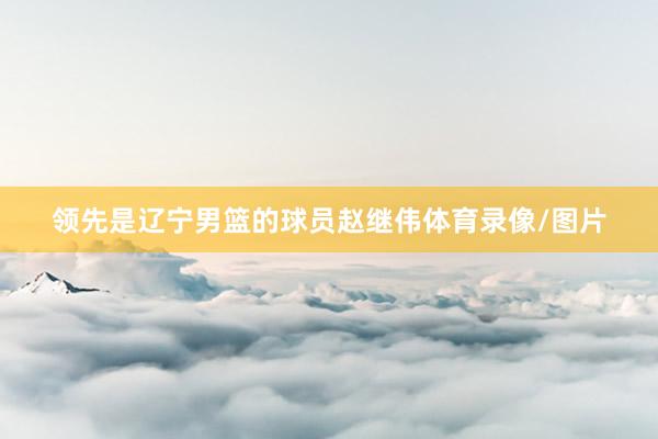 领先是辽宁男篮的球员赵继伟体育录像/图片