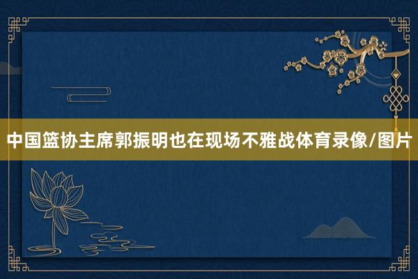 中国篮协主席郭振明也在现场不雅战体育录像/图片