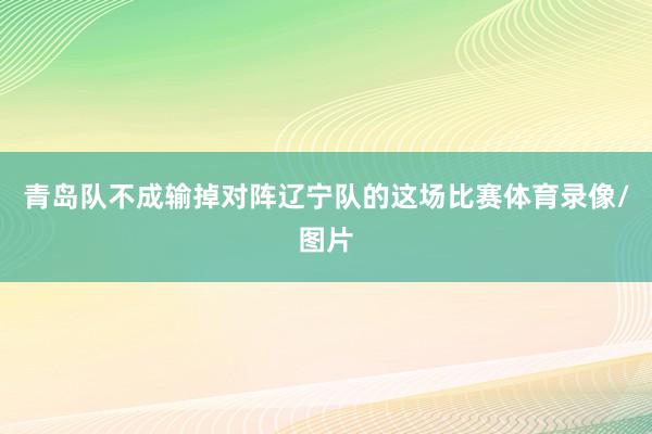 青岛队不成输掉对阵辽宁队的这场比赛体育录像/图片
