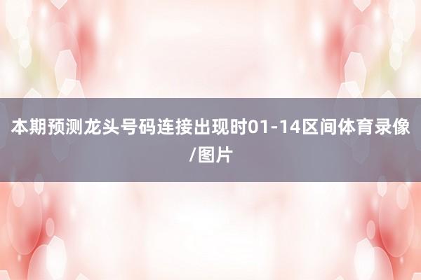 本期预测龙头号码连接出现时01-14区间体育录像/图片