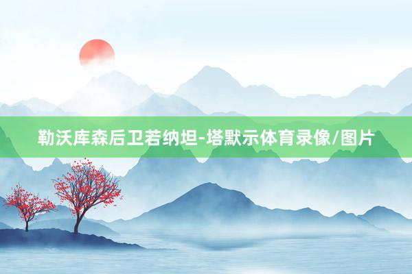勒沃库森后卫若纳坦-塔默示体育录像/图片