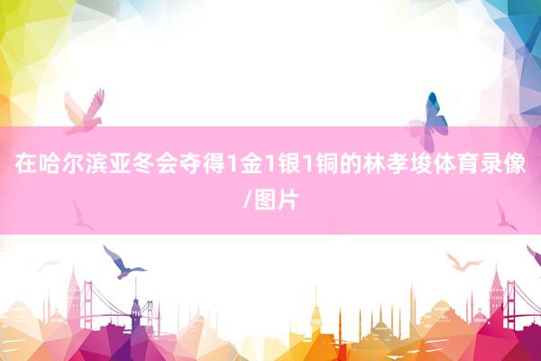 在哈尔滨亚冬会夺得1金1银1铜的林孝埈体育录像/图片