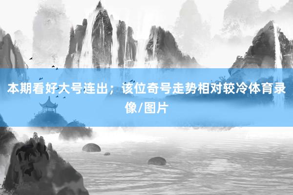 本期看好大号连出；该位奇号走势相对较冷体育录像/图片