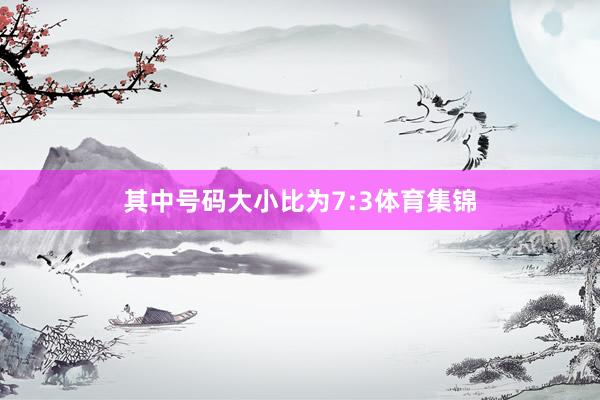 其中号码大小比为7:3体育集锦
