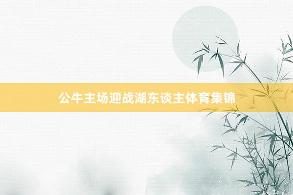 公牛主场迎战湖东谈主体育集锦