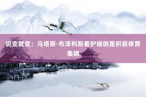 说变就变；马塔斯·布泽利斯看护端倒是积极体育集锦