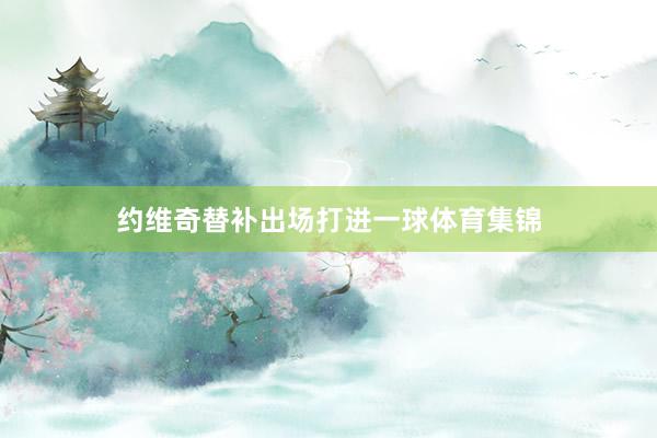 约维奇替补出场打进一球体育集锦
