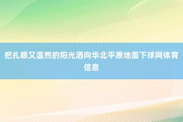 把扎眼又温煦的阳光洒向华北平原地面下球网体育信息