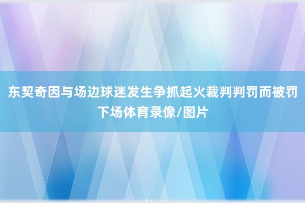 东契奇因与场边球迷发生争抓起火裁判判罚而被罚下场体育录像/图片