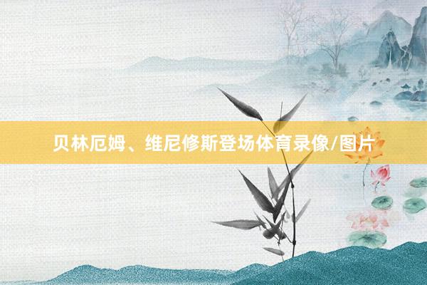 贝林厄姆、维尼修斯登场体育录像/图片
