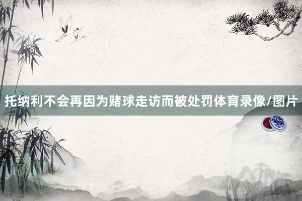 托纳利不会再因为赌球走访而被处罚体育录像/图片