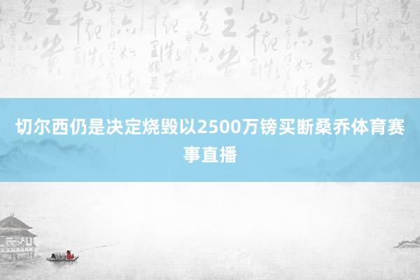 切尔西仍是决定烧毁以2500万镑买断桑乔体育赛事直播