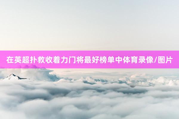 在英超扑救收着力门将最好榜单中体育录像/图片
