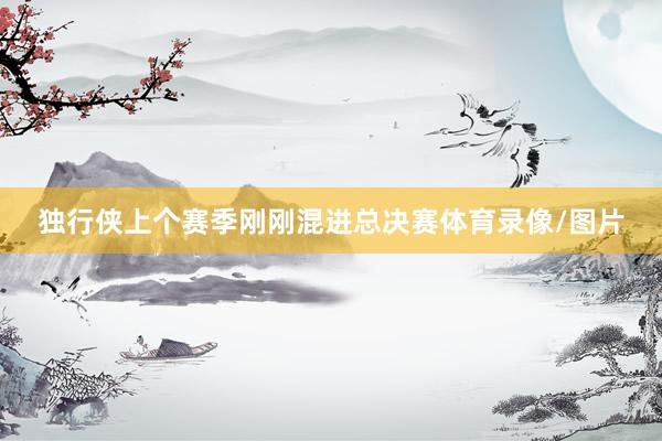 独行侠上个赛季刚刚混进总决赛体育录像/图片