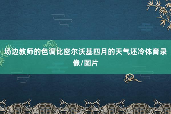 场边教师的色调比密尔沃基四月的天气还冷体育录像/图片