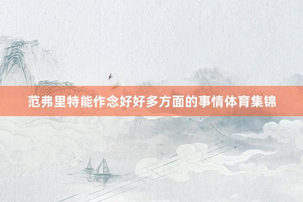 范弗里特能作念好好多方面的事情体育集锦