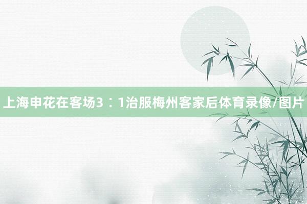 上海申花在客场3∶1治服梅州客家后体育录像/图片