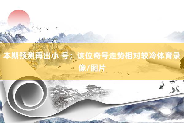 本期预测再出小 号；该位奇号走势相对较冷体育录像/图片