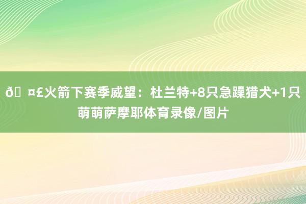 🤣火箭下赛季威望：杜兰特+8只急躁猎犬+1只萌萌萨摩耶体育录像/图片