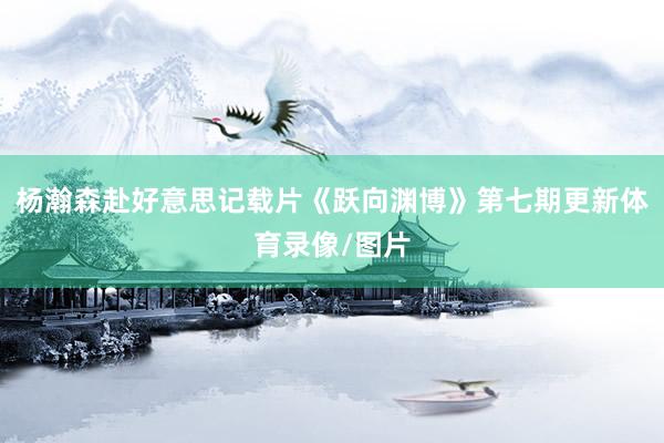 杨瀚森赴好意思记载片《跃向渊博》第七期更新体育录像/图片