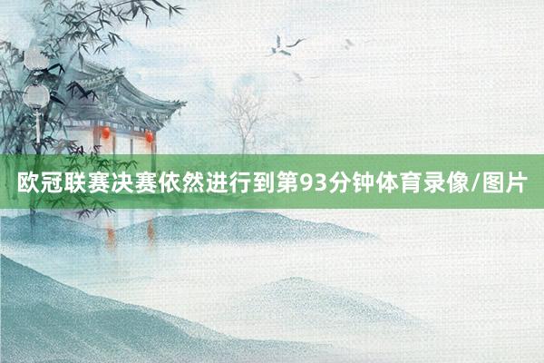 欧冠联赛决赛依然进行到第93分钟体育录像/图片