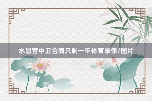 水晶宫中卫合同只剩一年体育录像/图片
