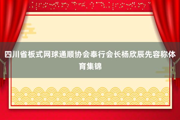 四川省板式网球通顺协会奉行会长杨欣辰先容称体育集锦