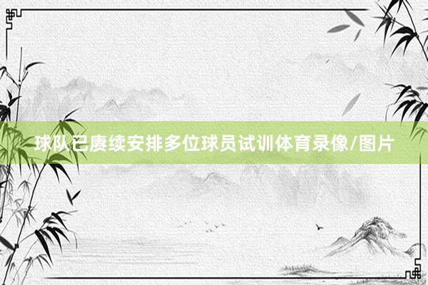 球队已赓续安排多位球员试训体育录像/图片