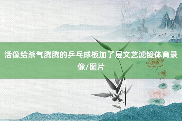 活像给杀气腾腾的乒乓球板加了层文艺滤镜体育录像/图片