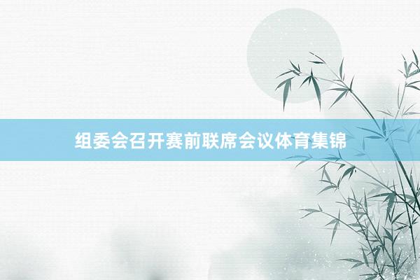 组委会召开赛前联席会议体育集锦