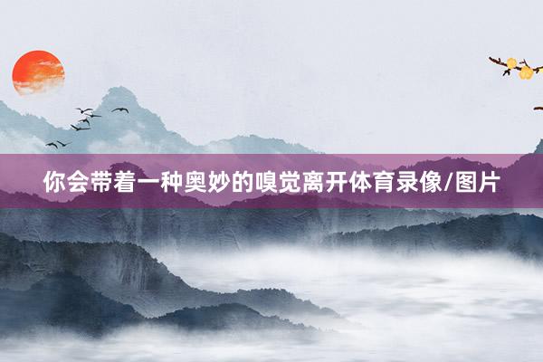 你会带着一种奥妙的嗅觉离开体育录像/图片