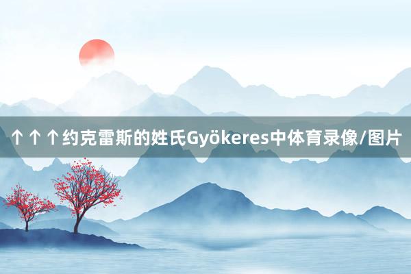 ↑↑↑约克雷斯的姓氏Gyökeres中体育录像/图片