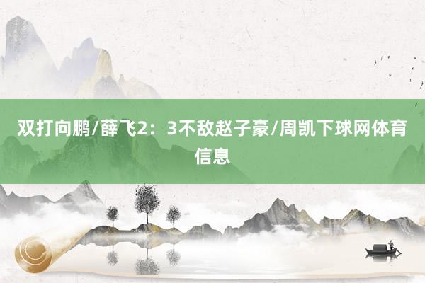 双打向鹏/薛飞2：3不敌赵子豪/周凯下球网体育信息