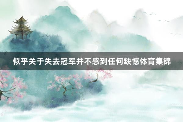似乎关于失去冠军并不感到任何缺憾体育集锦