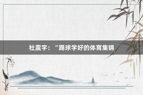 杜震宇：“踢球学好的体育集锦