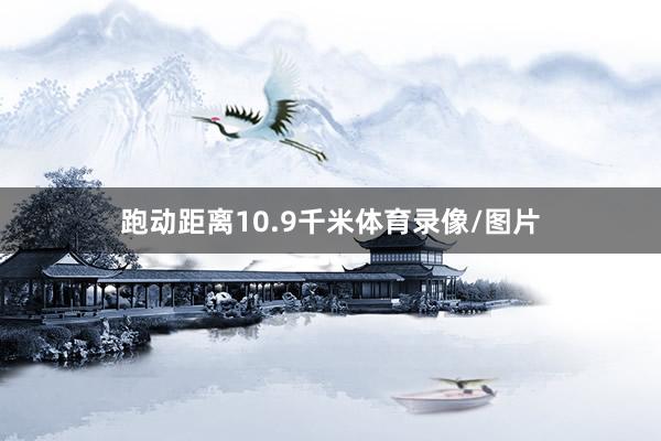 跑动距离10.9千米体育录像/图片
