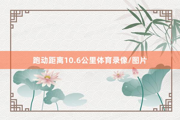 跑动距离10.6公里体育录像/图片