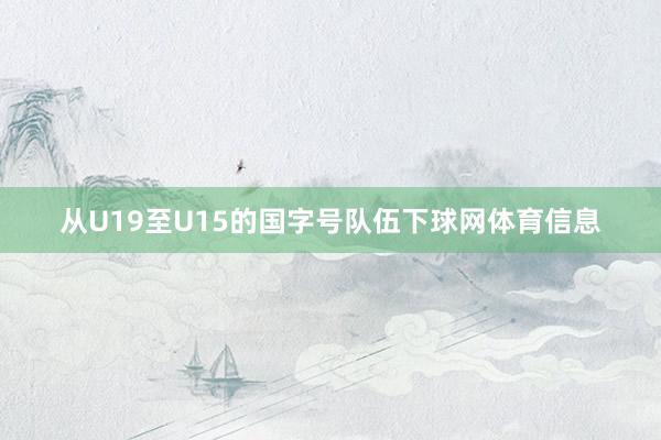 从U19至U15的国字号队伍下球网体育信息