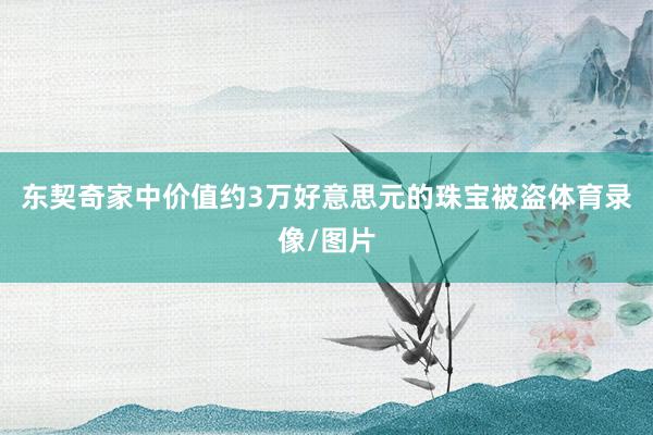东契奇家中价值约3万好意思元的珠宝被盗体育录像/图片