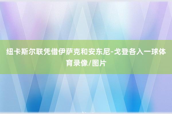 纽卡斯尔联凭借伊萨克和安东尼-戈登各入一球体育录像/图片