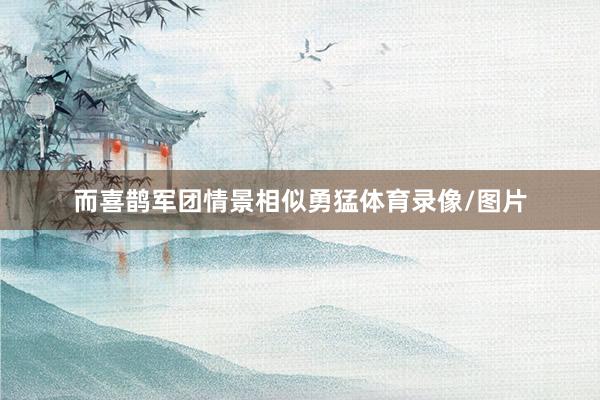 而喜鹊军团情景相似勇猛体育录像/图片