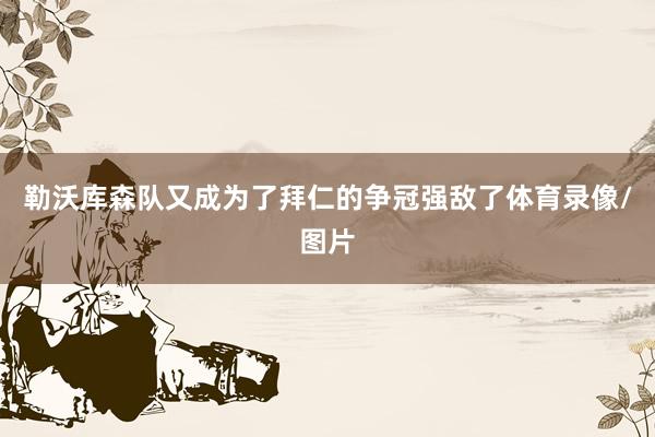 勒沃库森队又成为了拜仁的争冠强敌了体育录像/图片